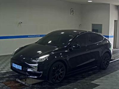 TESLA MODEL Y AWD LONG RANGE